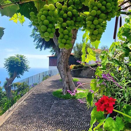 Vila Torre Bella Gardens Arco da Calheta  Exteriér fotografie