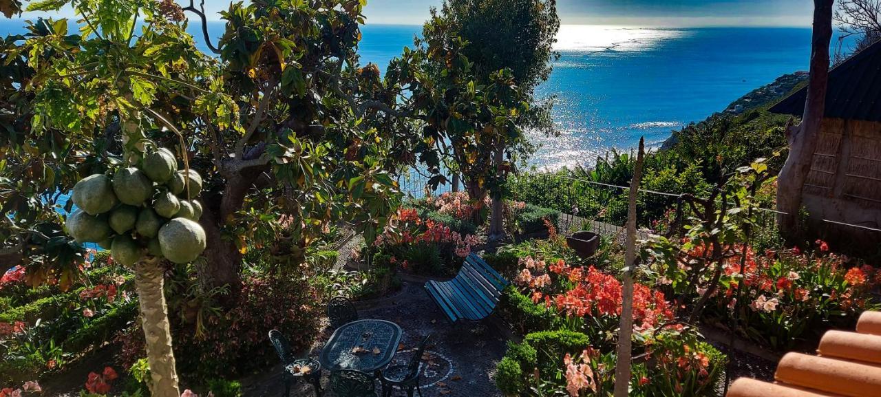 Vila Torre Bella Gardens Arco da Calheta  Exteriér fotografie