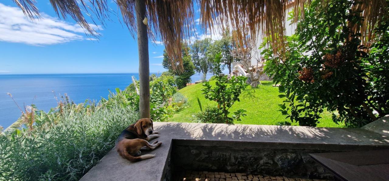 Vila Torre Bella Gardens Arco da Calheta  Exteriér fotografie