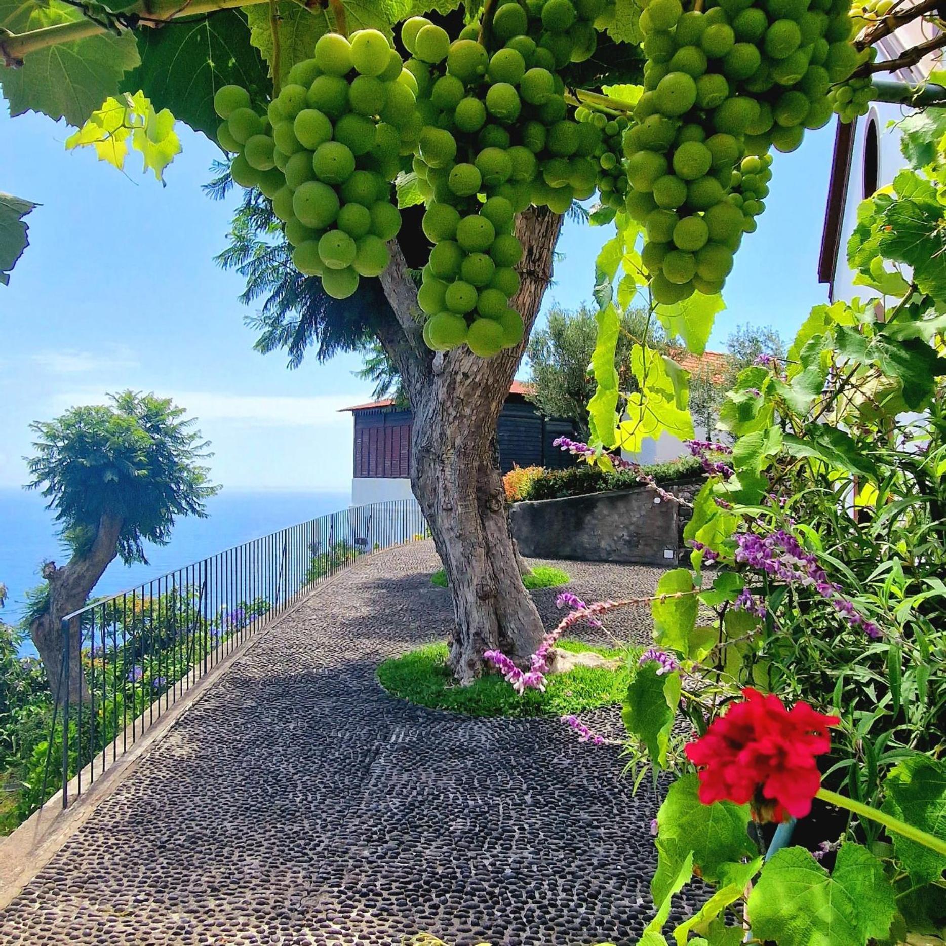 Vila Torre Bella Gardens Arco da Calheta  Exteriér fotografie