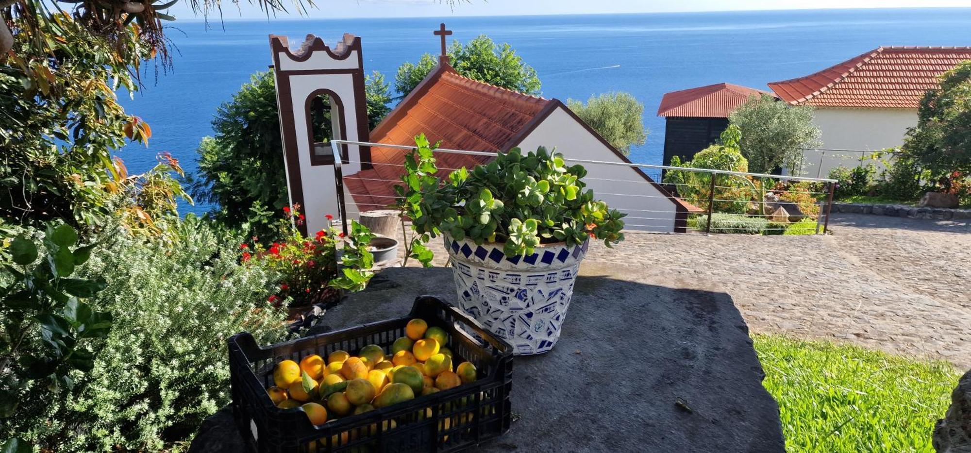 Vila Torre Bella Gardens Arco da Calheta  Exteriér fotografie