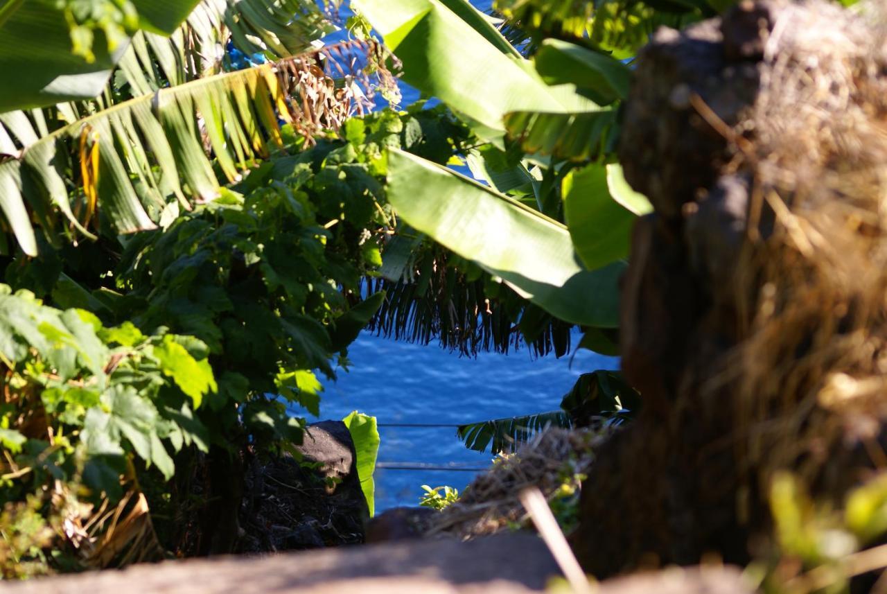 Vila Torre Bella Gardens Arco da Calheta  Exteriér fotografie