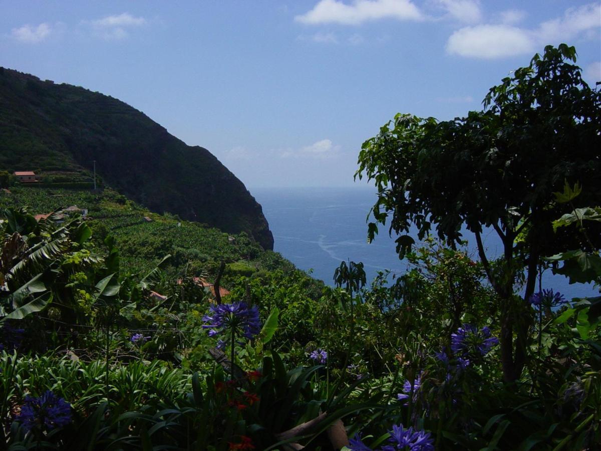 Vila Torre Bella Gardens Arco da Calheta  Exteriér fotografie